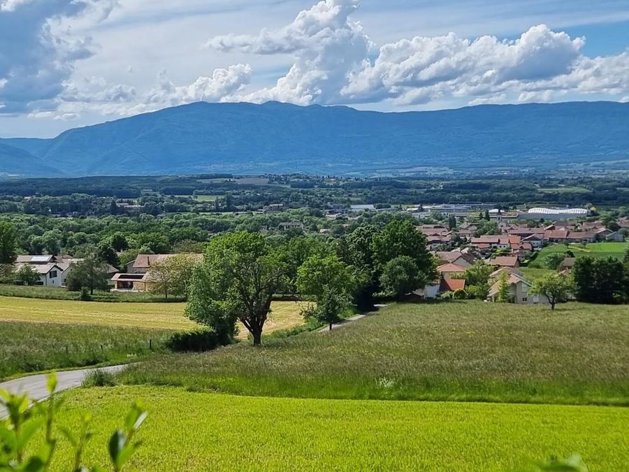 Terrain à Neydens