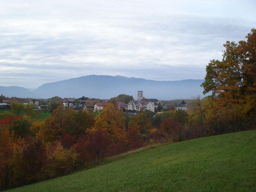 Terrain à Viry