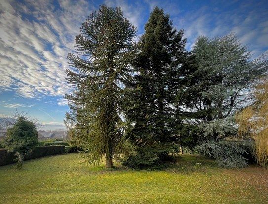 Terrain à Bonne