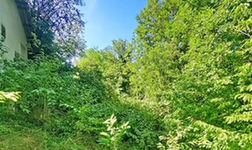 Terrain à Dingy-en-Vuache