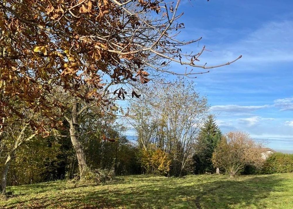 Terrain à Vers